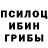 Псилоцибиновые грибы ЛСД Tikowind124
