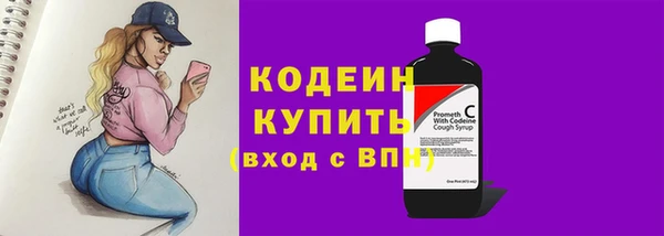 дживик Абаза