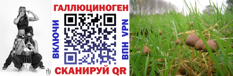 закладки  Зеленогорск  Галлюциногенные грибы Magic Shrooms 